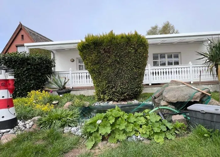 Fiete Und Ole ゼリン